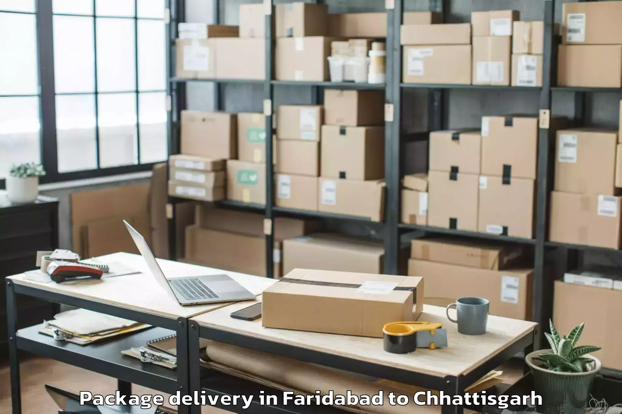 Leading Faridabad to Bagicha Package Delivery Provider